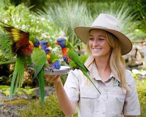 Currumbin Wildlife Sanctuary