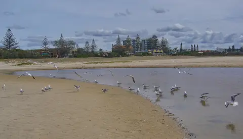 North Kirra Beach