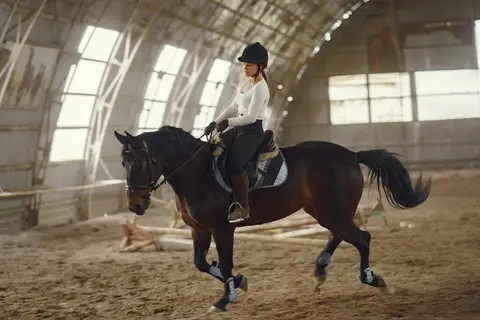 Northern Territory Institute of Equestrian Sport