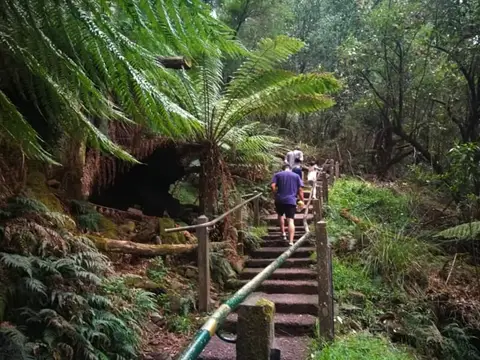 1000 Steps Kokoda Track Memorial Walk
