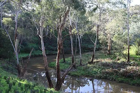 Plenty Gorge Park (Hawkstowe Picnic Area)