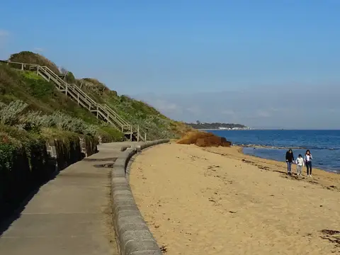 Sandringham Life Saving Club