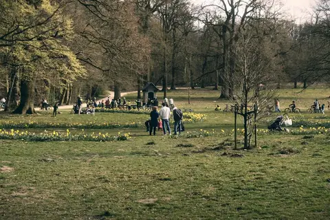 Botanic Park / Tainmuntilla