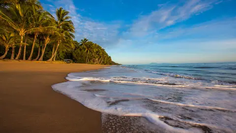 Ellis Beach