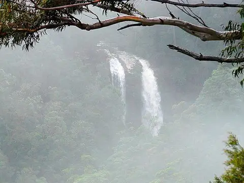 Canyon lookout, Springbrook National Park