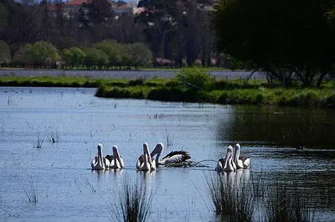 Jerrabomberra Wetlands Nature Reserve