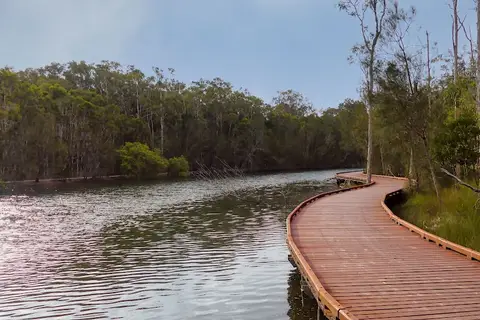 Myola Court Boardwalk Trail, Coombabah Lakelands Conservation Area