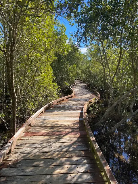 Bird Hide Walk, Coombabah Lakelands Conservation Area