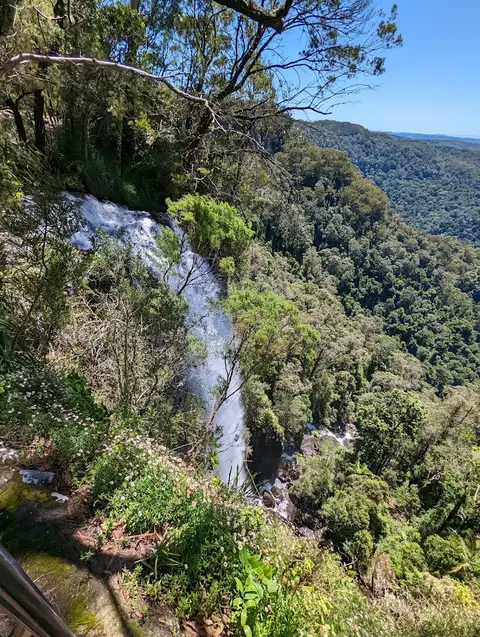 Goomoolahra Falls lookout, Springbrook National Park
