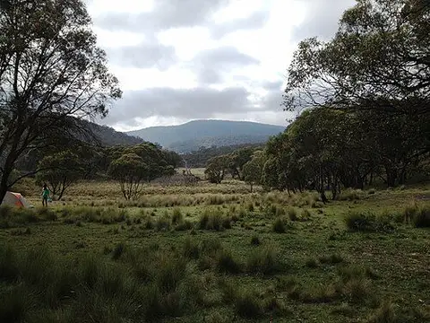 Honeysuckle Campground, Namadgi National Park