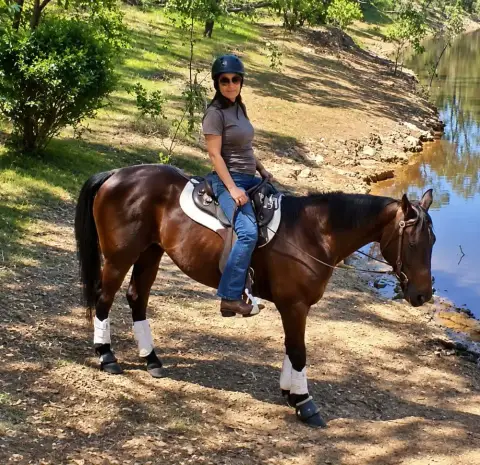 Equine Assist Adelaide
