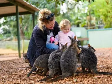 Featherdale Sydney Wildlife Park
