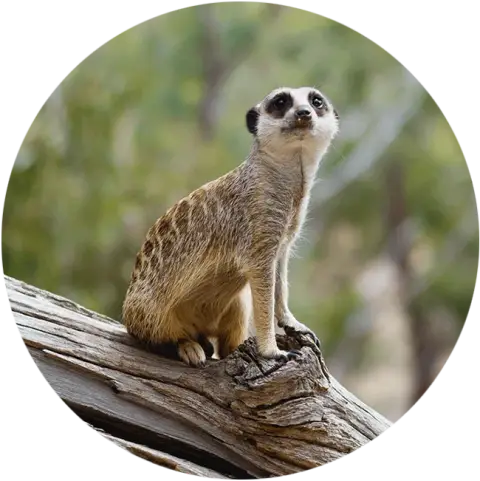 Gorge Wildlife Park