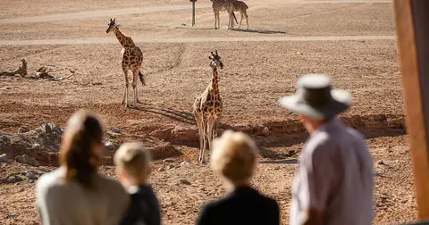 Monarto Safari Park