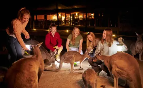 Moonlit Sanctuary Wildlife Conservation Park