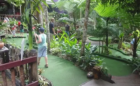Rainforest Mini Golf