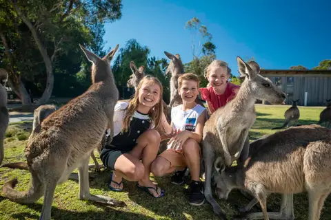 Symbio Wildlife Park