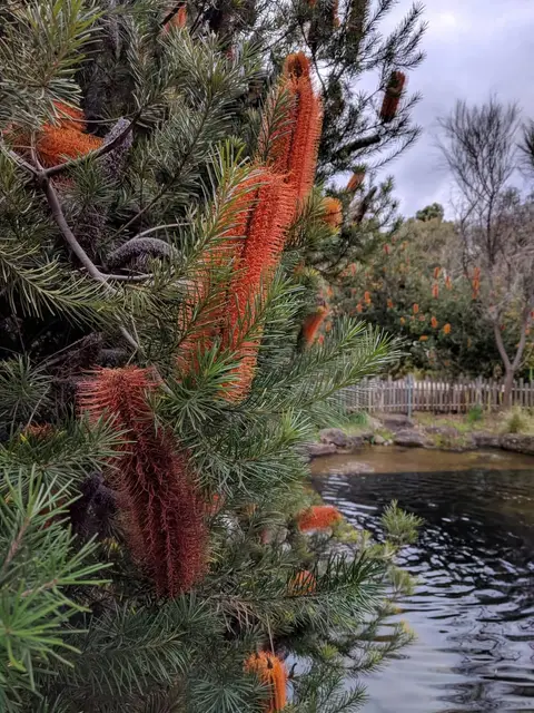 The Ian Potter Foundation Children's Garden