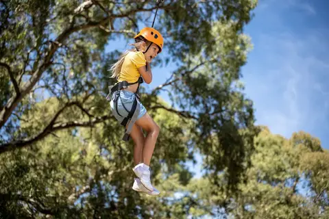 TreeClimb Adelaide
