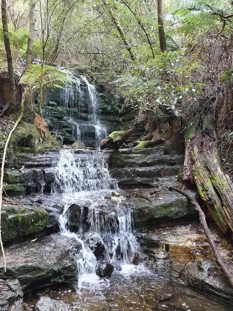 Cascades Track