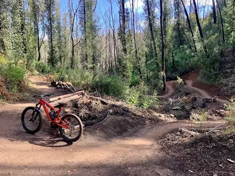 Fox Creek Bike Park