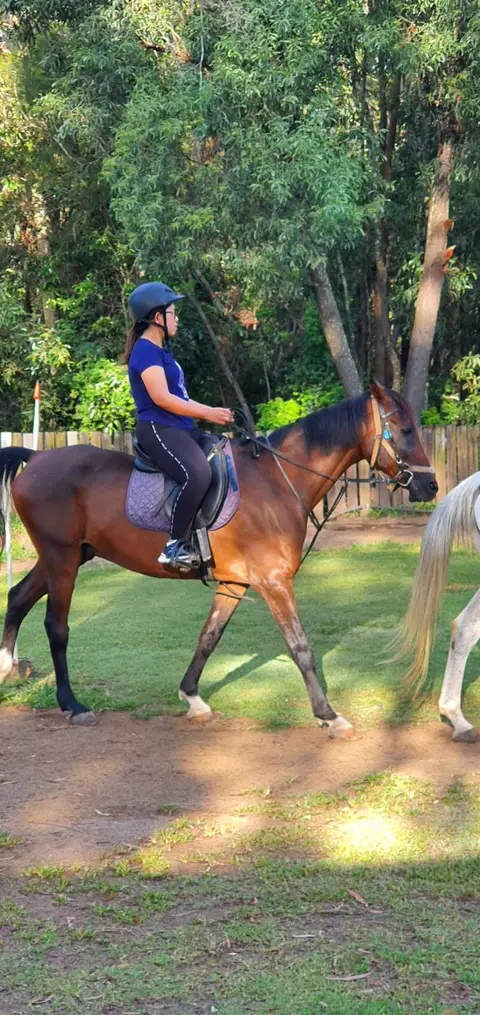 Forest Lake Riding School