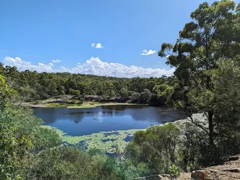 Daisy Hill Conservation Park