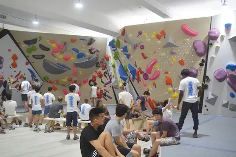 Skywood Climbing