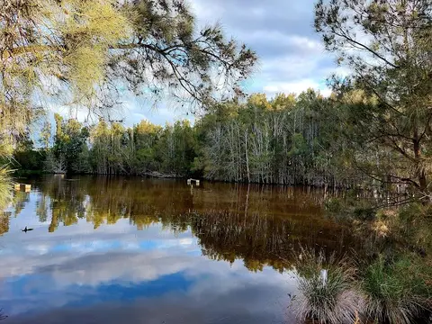 Newington Nature Reserve