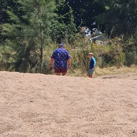 Pine Island Reserve