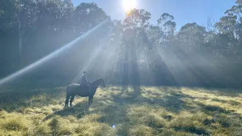 Sydney Horse Riding
