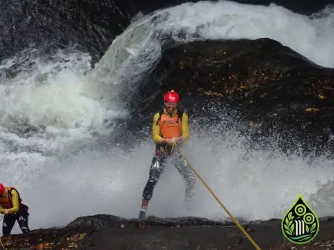 Cairns Waterfalls