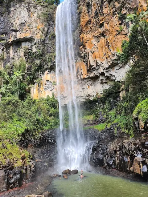 Purling Brook Falls, Springbrook National Park