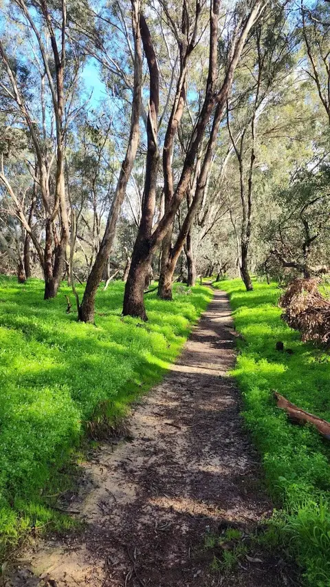 Herdsman Lake Regional Park