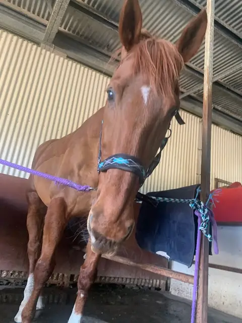Heritage Riding