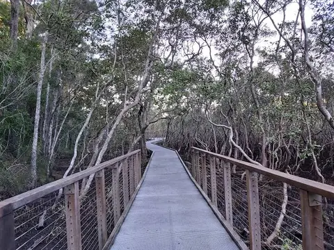 Tallebudgera Creek Conservation Park
