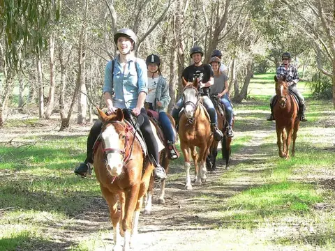 Zia Park Equestrian Centre
