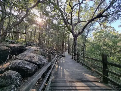 Toohey Forest Park