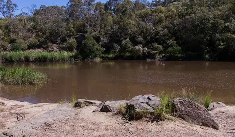 Warrandyte State Park