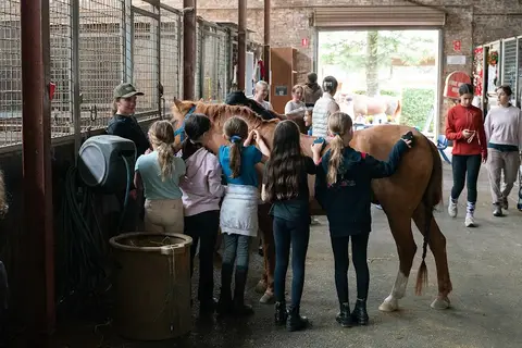 Eastside Horse Riding Academy