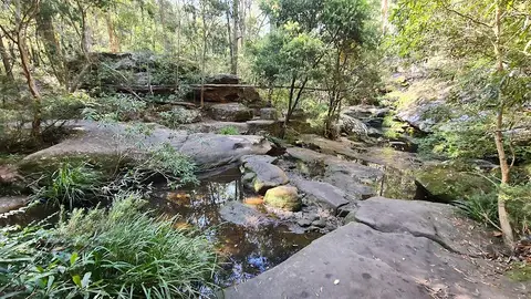 Bidjigal Reserve