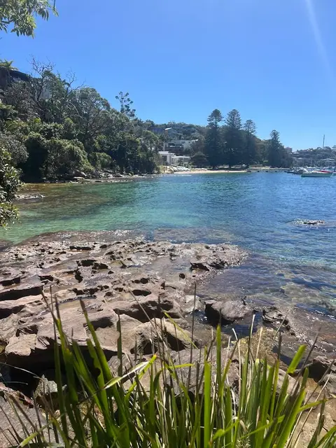 Manly Scenic Walkway (Spit Bridge to Manly)