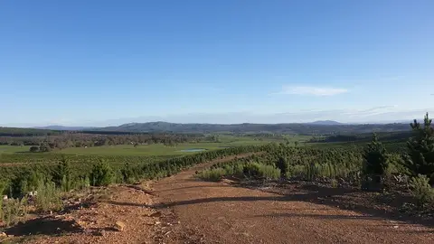 Sparrow Hill