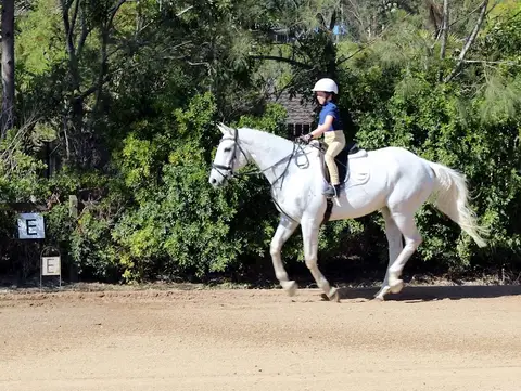 Wattle Creek Equestrian Centre