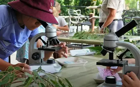 NaturallyGC Kids - Become a Wildlife Vet