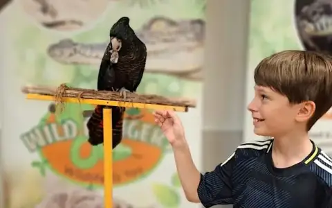 NaturallyGC Kids - Birds of Flight