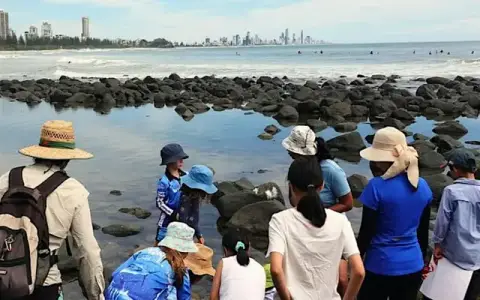 NaturallyGC Kids Rocky Shore Explore