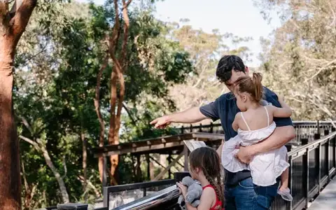 Port Stephens Koala Sanctuary