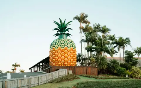 The Big Pineapple