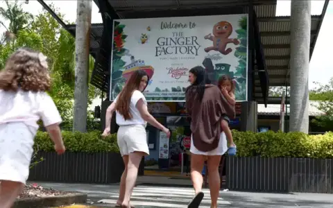The Ginger Factory